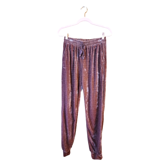 The Pants Store Pants - The Pants Store Velour Joggers NWT